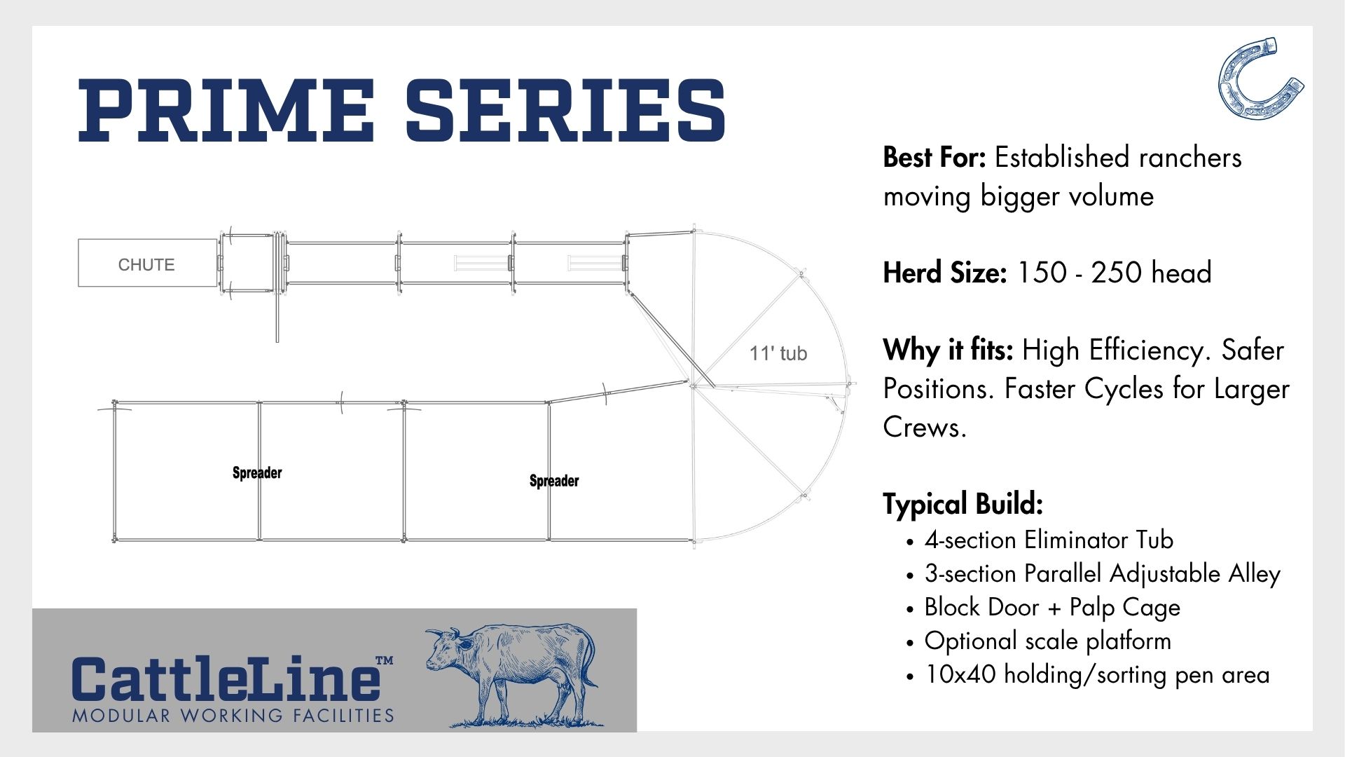 Why CattleLine™ Brings Clarity to Working Facilities - MJE Livestock ...
